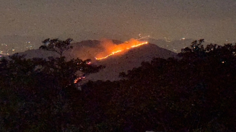 鸡公岭山火焚烧逾15小时未救熄一度逼近狗场消防射水扑救(图2)