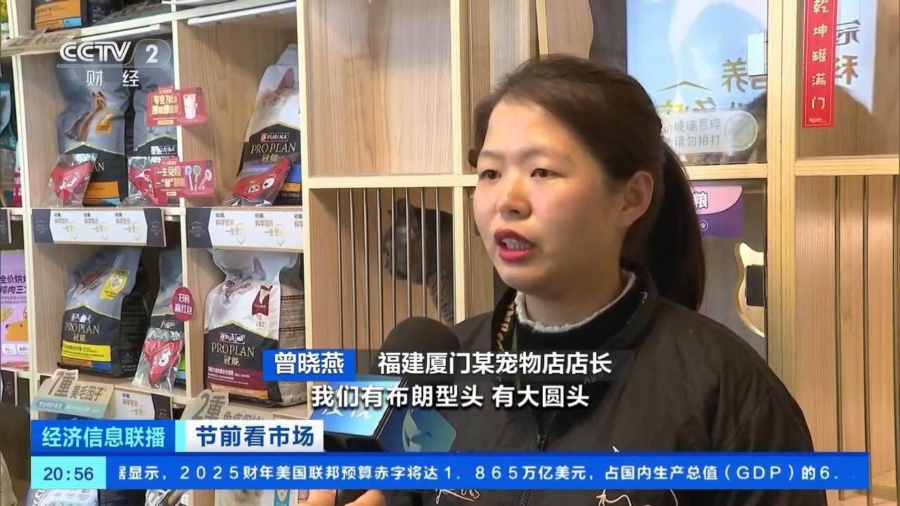 小猫小狗也要美美过节 春节前宠物“洗剪吹”需求大增(图1)