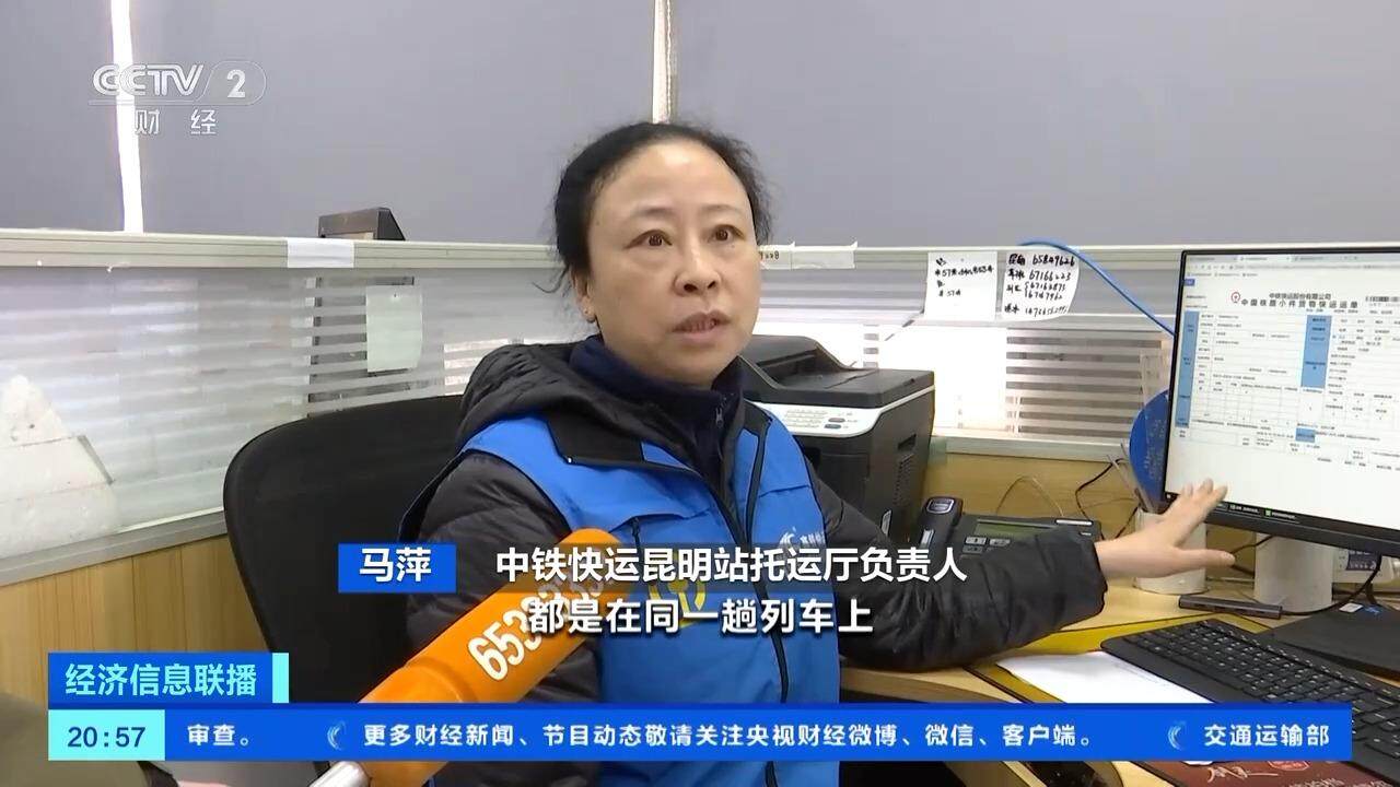 小猫小狗也要美美过节 春节前宠物“洗剪吹”需求大增(图5)