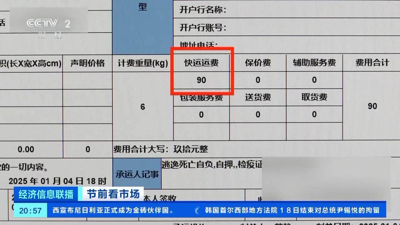 小猫小狗也要美美过节 春节前宠物“洗剪吹”需求大增(图4)